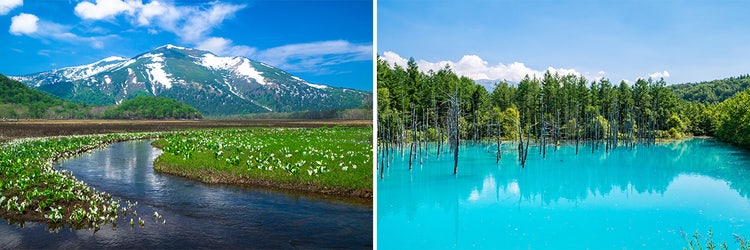 Adobe Stock｜風景・果物の素材