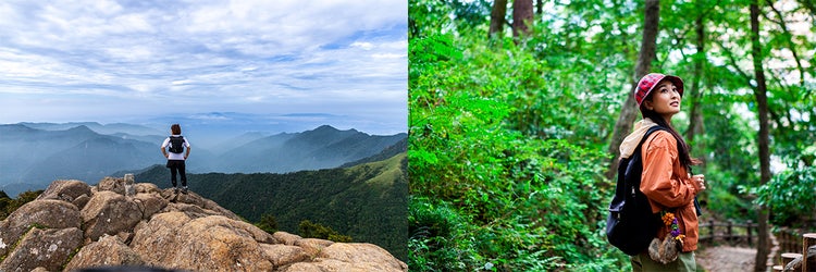 Adobe Stock｜夏の素材サンプル