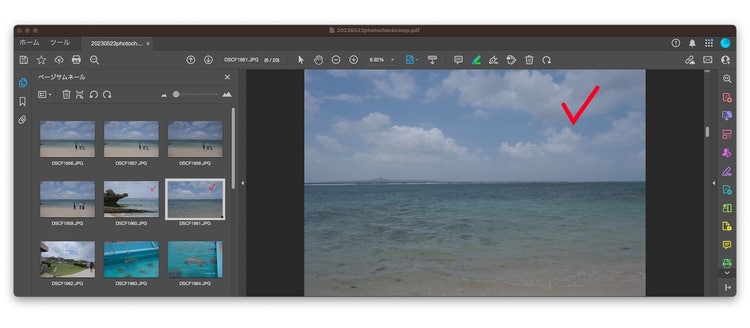 Acrobatで作成したPDFにチェックをつけている場面