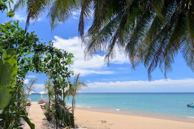 A beach with palm trees and a blue ocean Description automatically generated