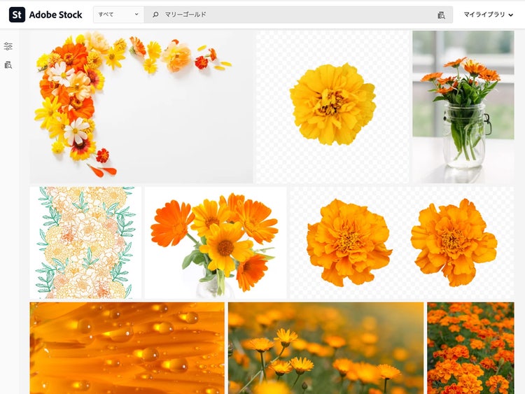 Adobe Stock｜検索結果