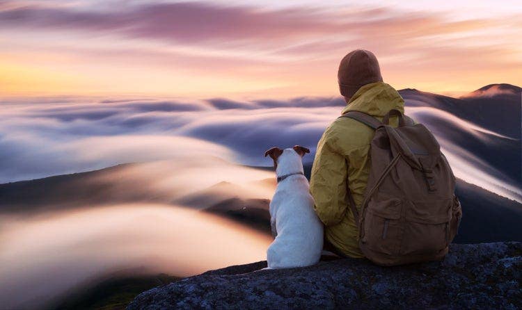 Alone tourist sitting on the edge of the cliff with white dog against the backdrop of an incredible sunrise mountains with flowing fog. Landscape photography