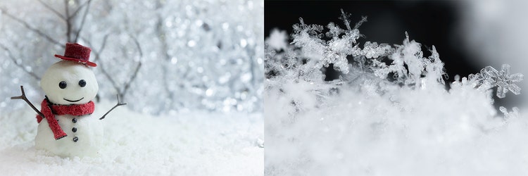 Adobe Stock｜素材サンプル（1月向け）
