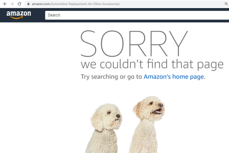 Amazon のウェブサイトの 404 ページのスクリーンショットには、2 匹の犬が表示され、商品が見つからなかったことを詳しく説明しています。