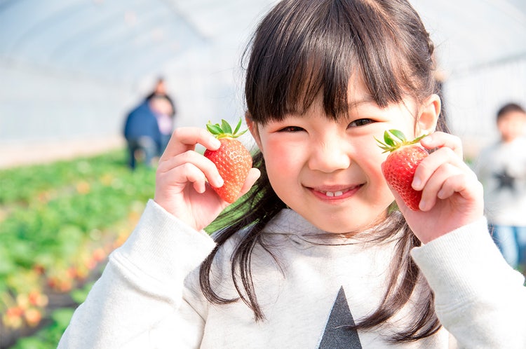 Adobe Stock｜春の素材（3月）