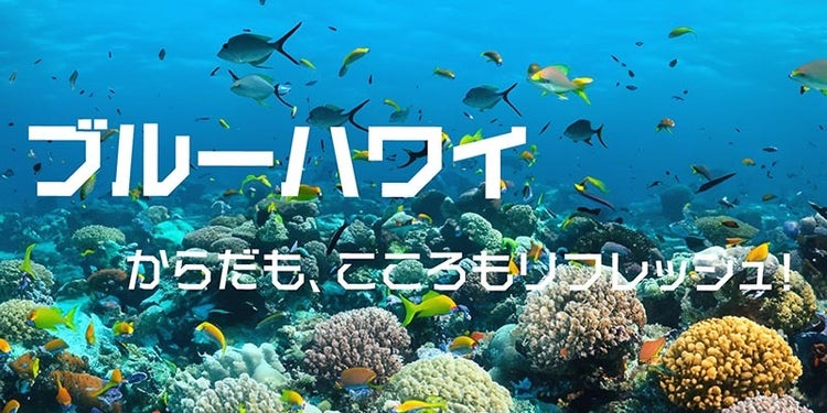岩礁, テーブル, スイミング, 食品 が含まれている画像 自動的に生成された説明