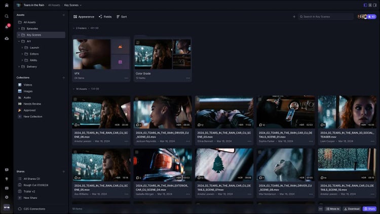 Frame.io V4（ベータ版）パネルシステムのイマーシブモード。