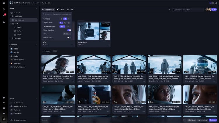 Frame.io Version 4（ベータ版）の外観のカスタマイズ。