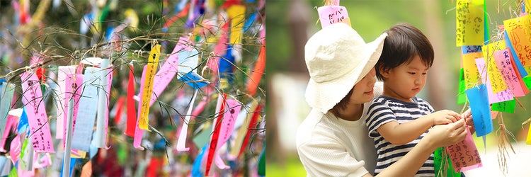 Adobe Stock｜夏の素材（7月）