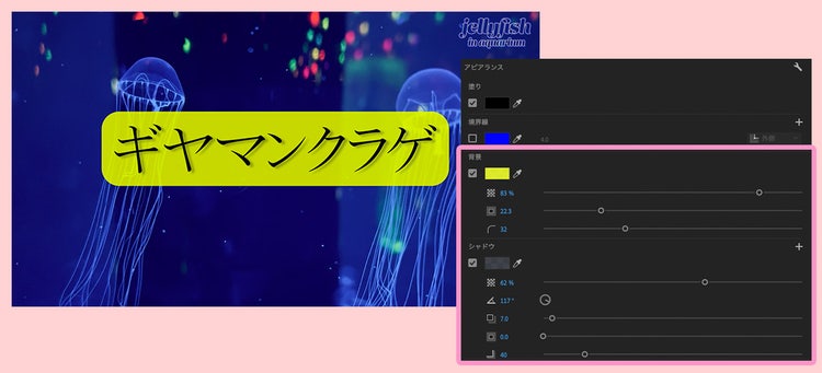 Adobe Premiere Pro｜アピアランス