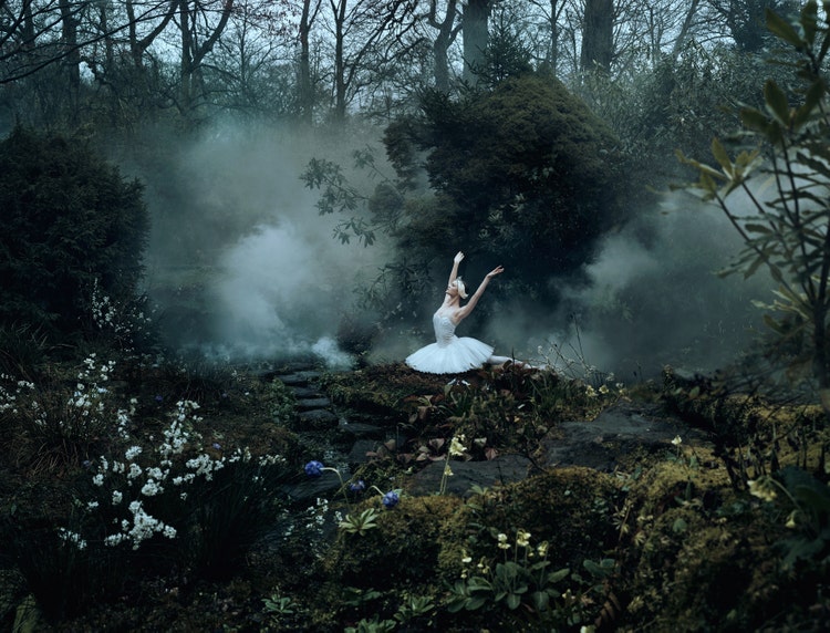 Bella Kotak が制作した画像。