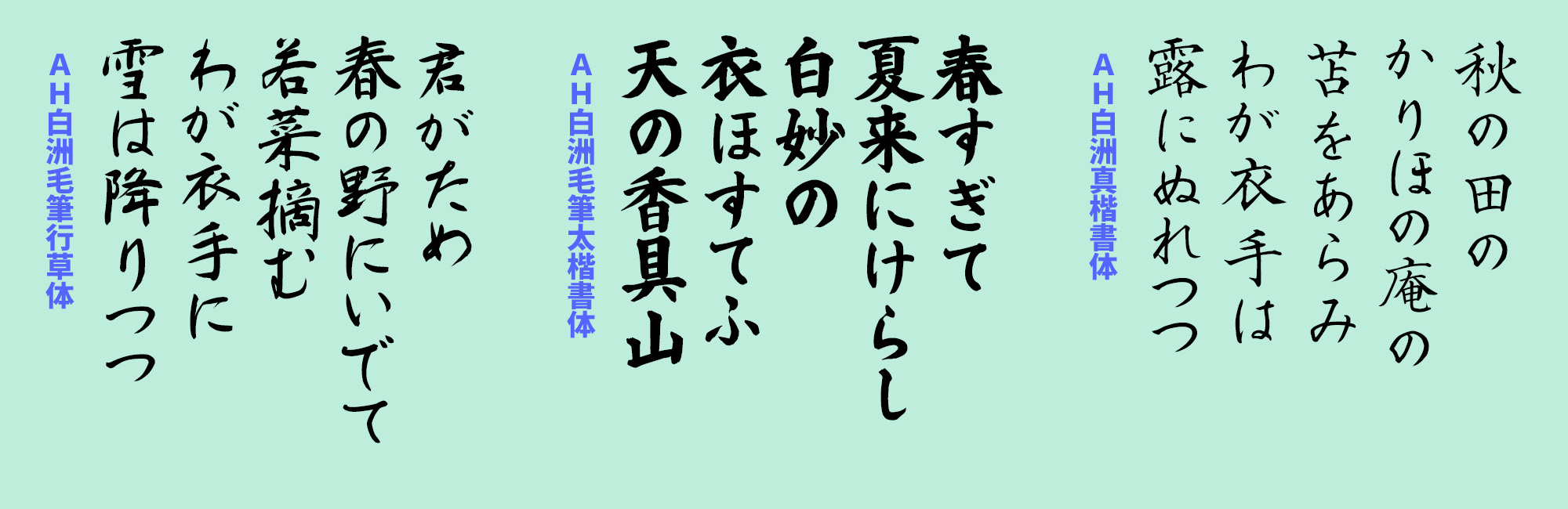 書道家・中本白洲さんの文字を忠実にフォント化。伝統と格式を備える