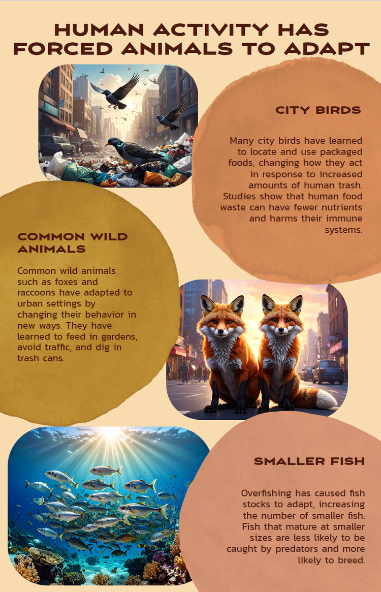 本, テキスト, 食品, 表示 が含まれている画像 AI 生成コンテンツは誤りを含む可能性があります。