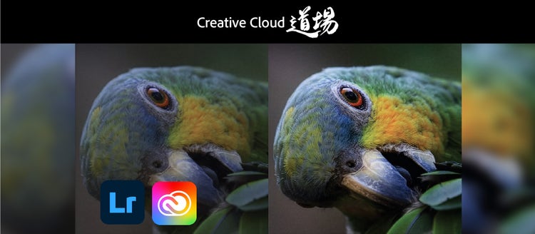 #570 Creative Cloud最新情報