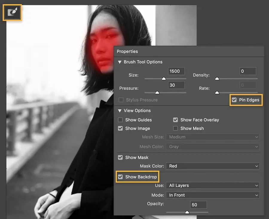 Photo shows in the Liquify workspace, a red mask covers her face, the Pin Edges and Show Backdrop settings are checked